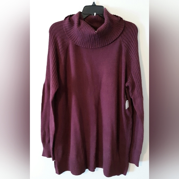 Time and Tru Sweaters - NWT Cowl Neck Sweater